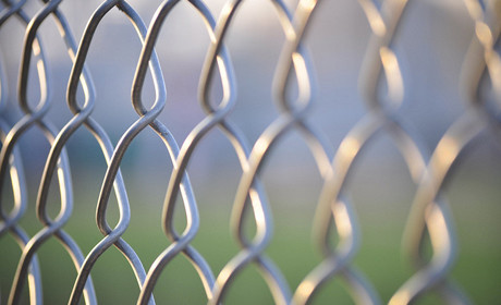 Chain link