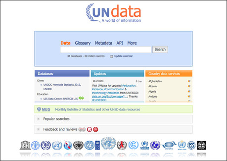 UN data portal screen shot