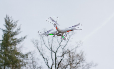 drone_flying_trees.jpeg