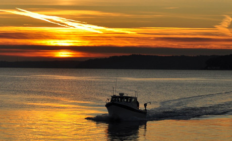 miss boat sunset