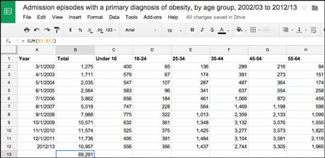 Spreadsheet skills - sums