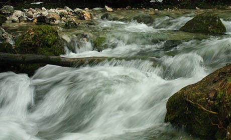 Boston Globe plans Facebook-like 'stream of content'