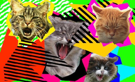 3 free GIF making apps for mobile journalists