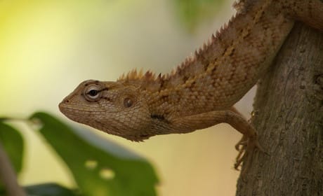 Advice for 'adaptive storytelling' from the Washington Post