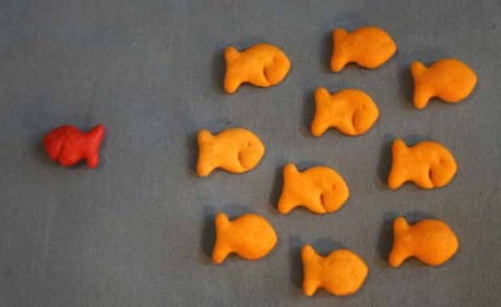 Advice from the BBC for covering niche subjects