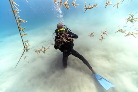 Associated Press launches multimedia series exploring citizen responses to climate change