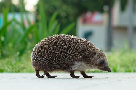 App for journalists: Nuzzel, for digesting the news from social media