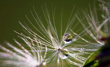 App for journalists: Snapseed, for smart photo editing