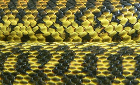 How Camayak helps newsrooms manage editorial workflows