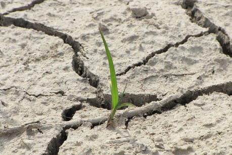 How can quality journalism thrive at a time of news deserts, misinformation and clickbait?