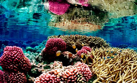 How The Coral Project aims to rethink community