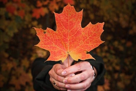 I am an editor: what can AI do for me?