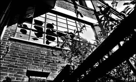 Why negative comments are like broken windows