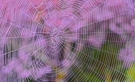 New domain names reshaping the web to serve journalists