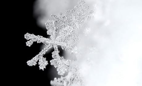 Pulitzer goes to New York Times 'Snow Fall' journalist