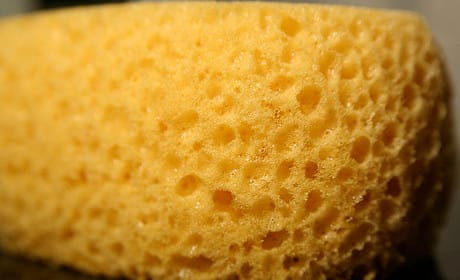 Spundge partners with Getty Images and Reuters