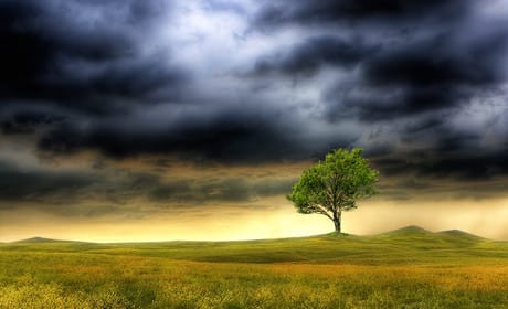 How AOL plans to tackle the 'perfect storm' as readers move to mobile