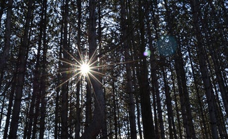 Sun journalists to be trained in mental health reporting after complaint