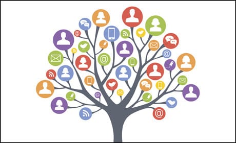 Training courses for journalists in the new year